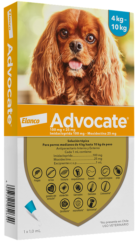 Advocate Perros 4 a 10kg - 1 pipeta 