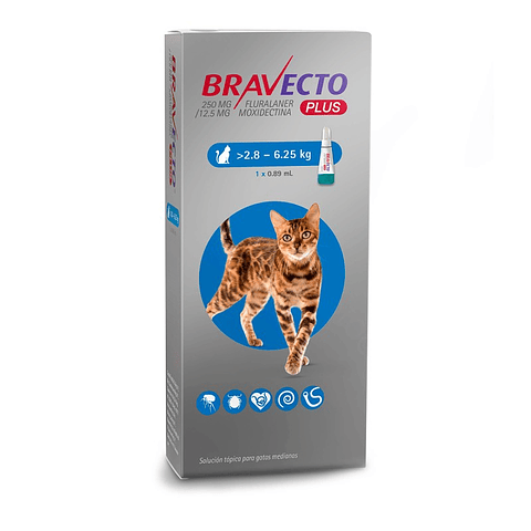 Bravecto Plus Gatos 2,8 a 6,25kg