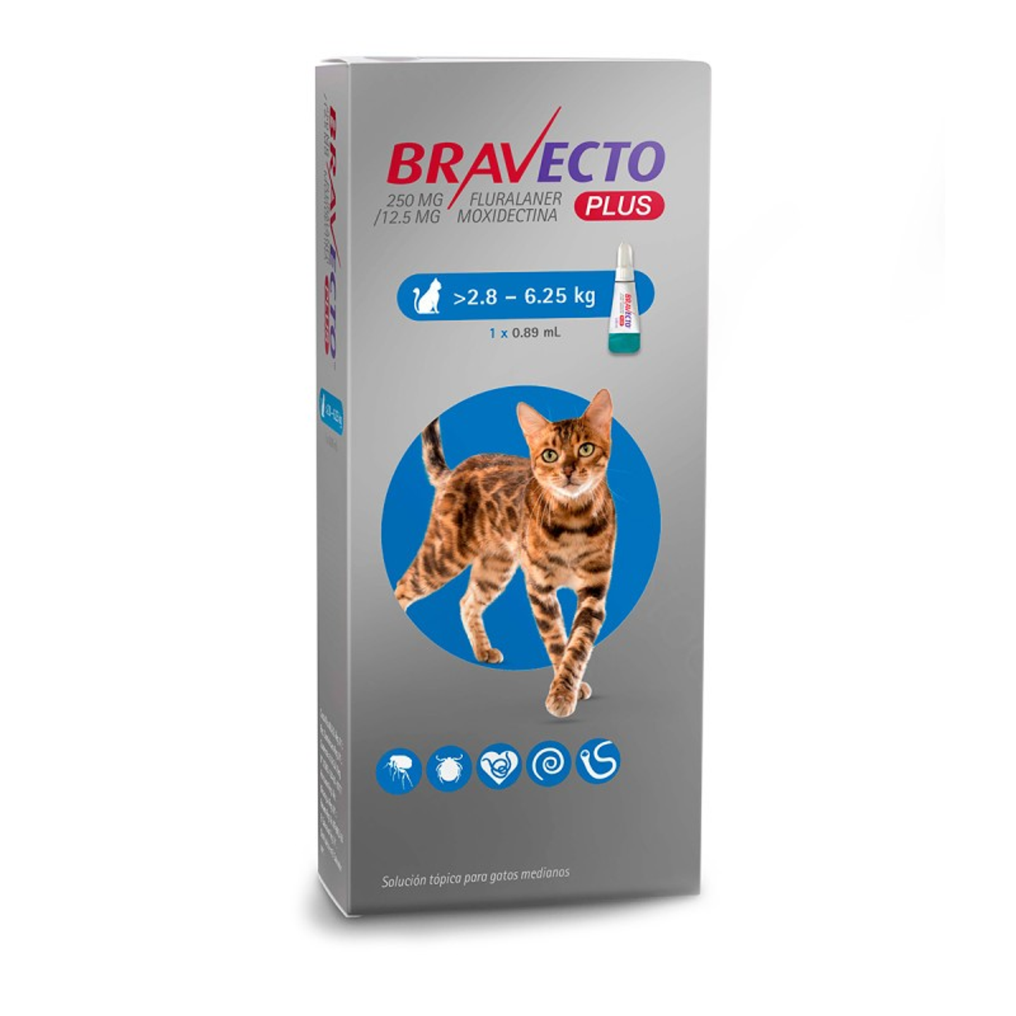 Bravecto Plus Gatos 2,8 a 6,25kg 1