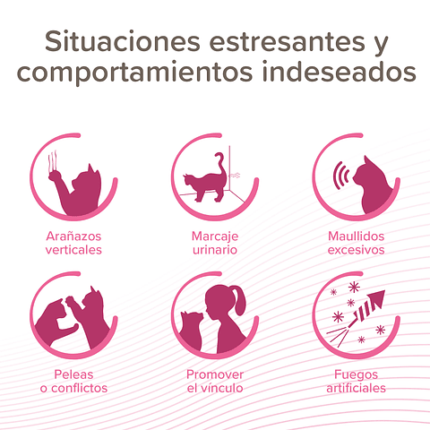 CatComfort Excellence Repuesto 48ml