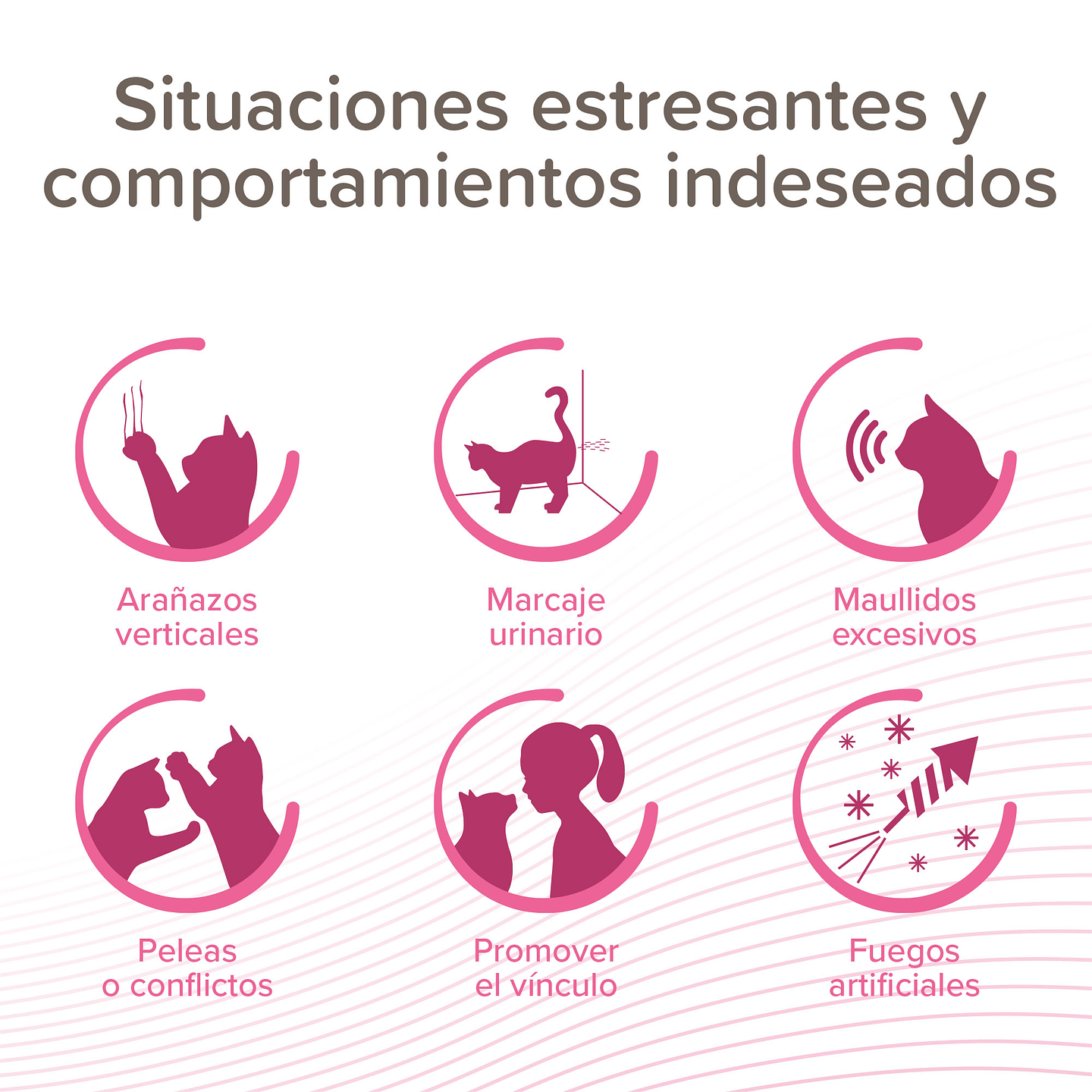 CatComfort Excellence Repuesto 48ml 2