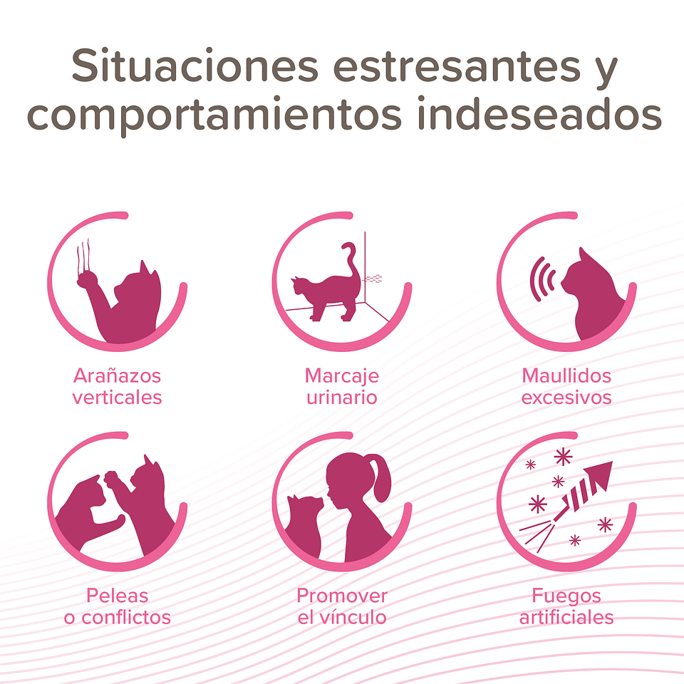 CatComfort Excellence Repuesto 48ml 2