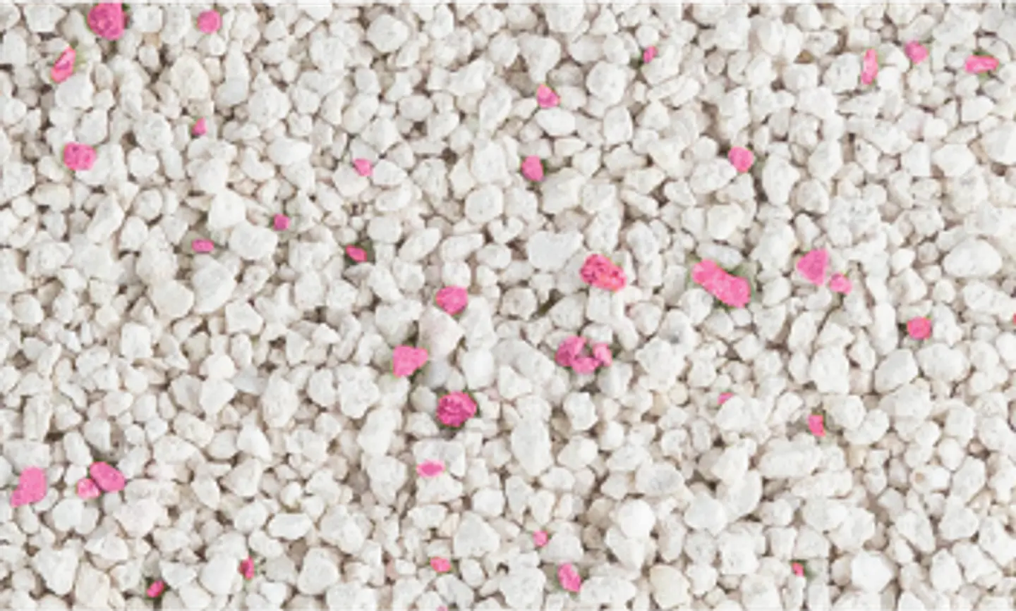 Arena Van Cat Baby Powder 10kg 2