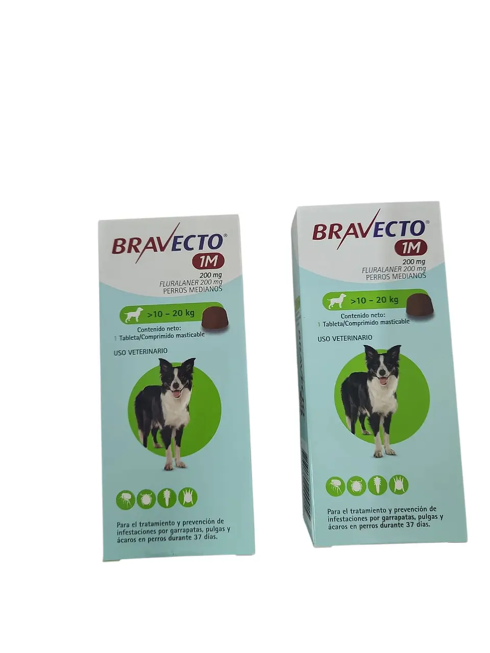 Bravecto  10 a 20kg  - pack de 2 cajas  1