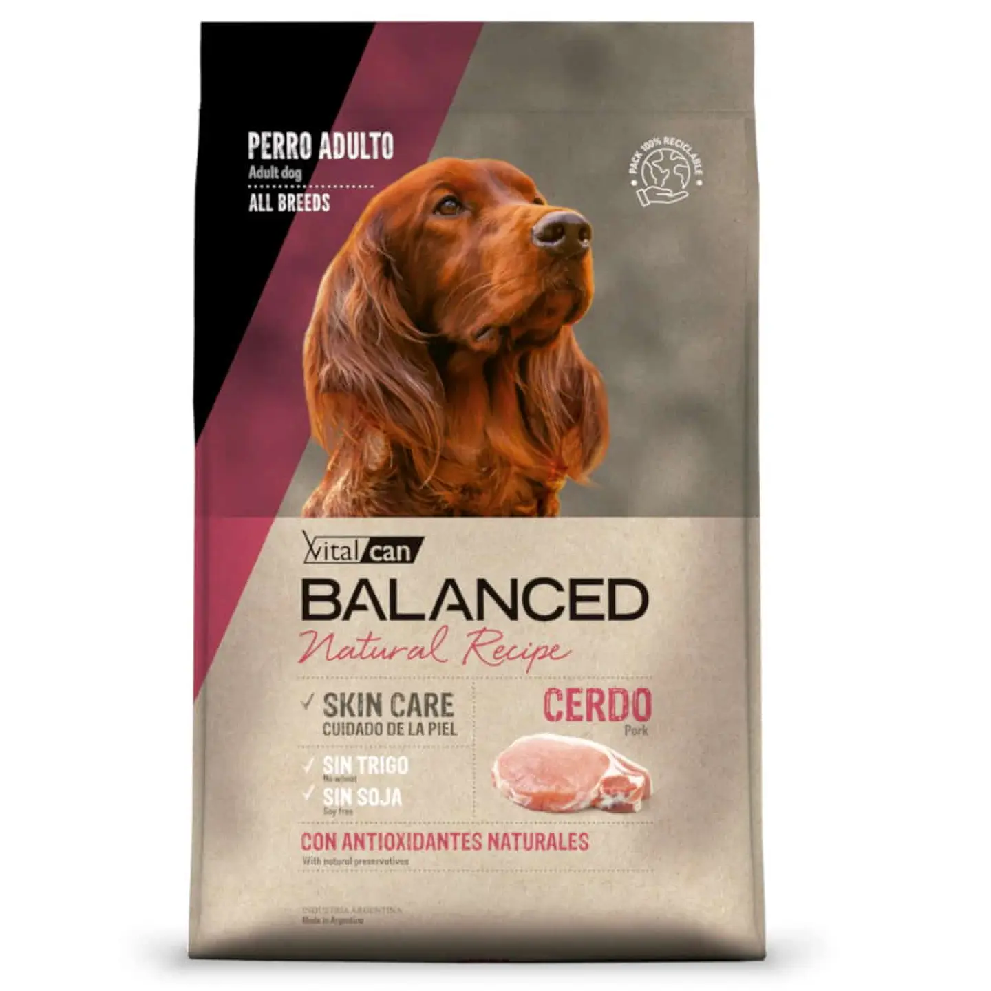 Balanced Natural Recipe Cerdo 15kg 1