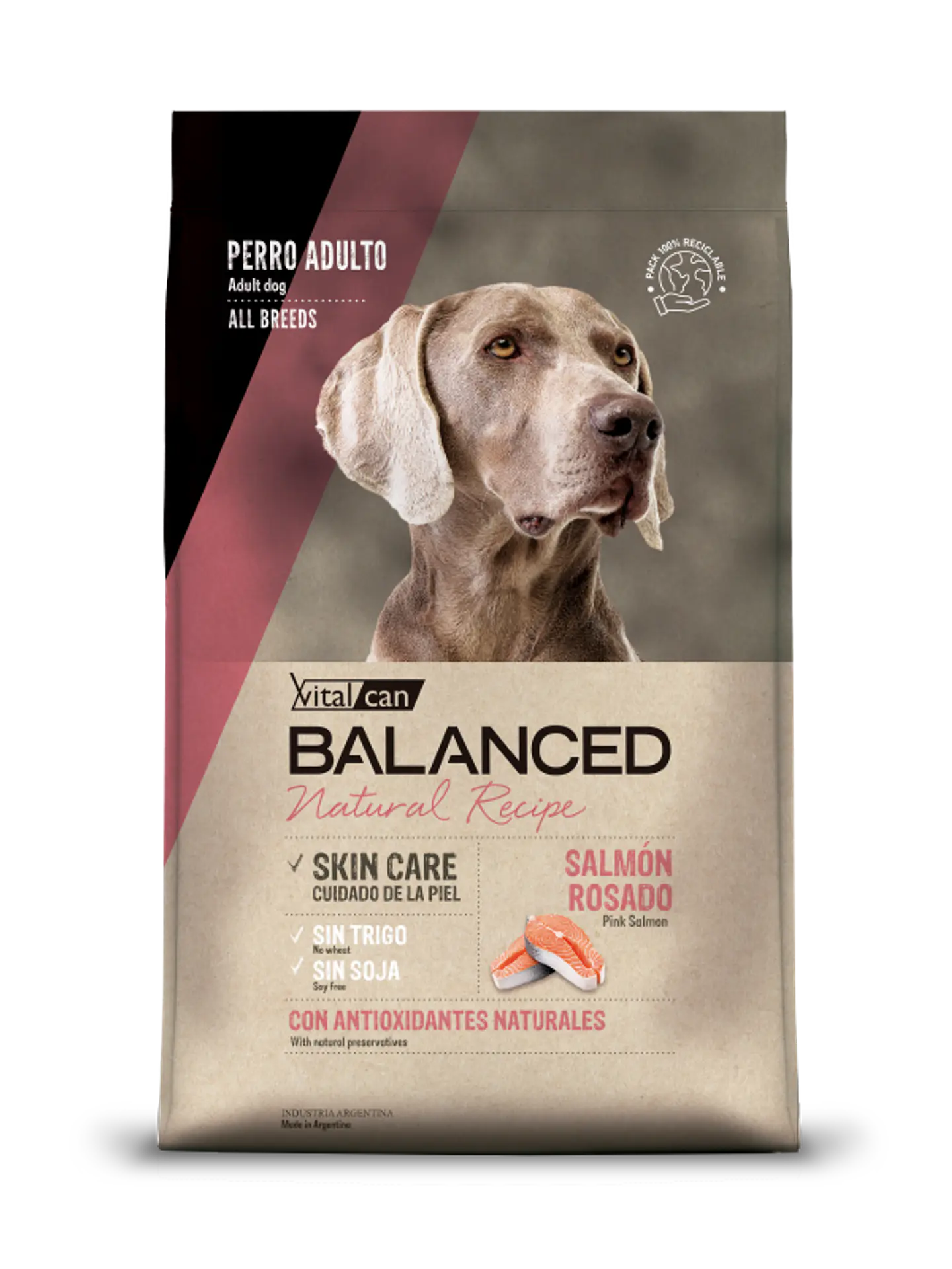 Balanced Natural Recipe Salmon Rosado 15kg 1