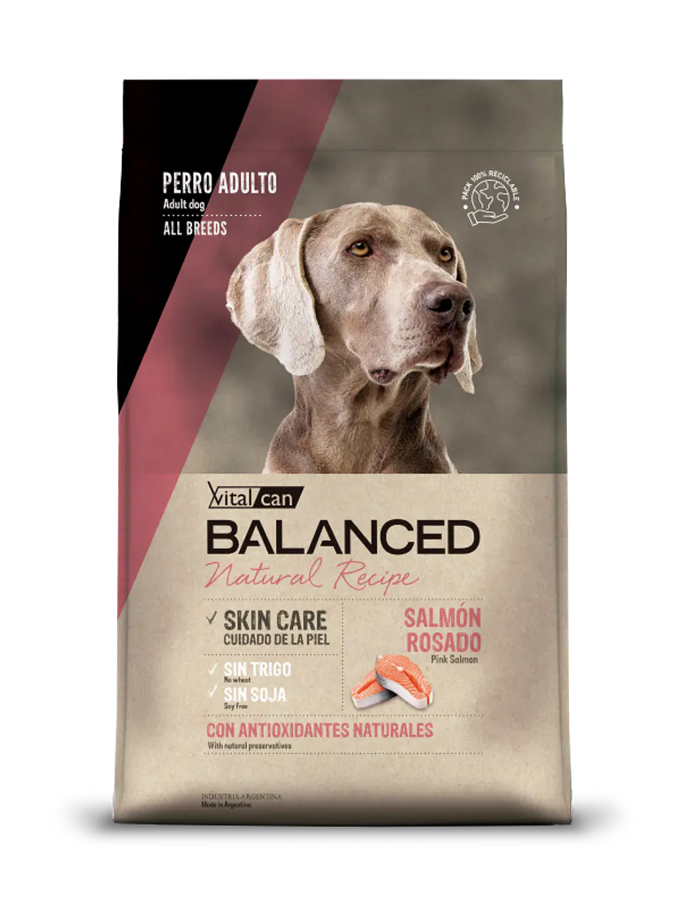 Balanced Natural Recipe Salmon Rosado 3kg 1