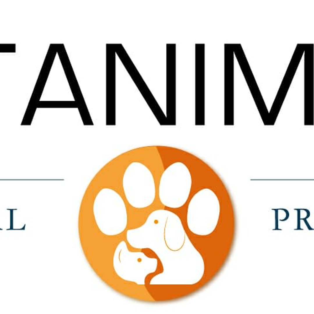 Digestivet 30 comprimidos  2