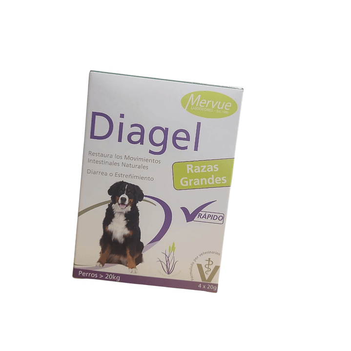 Diagel para Perros Grandes  1
