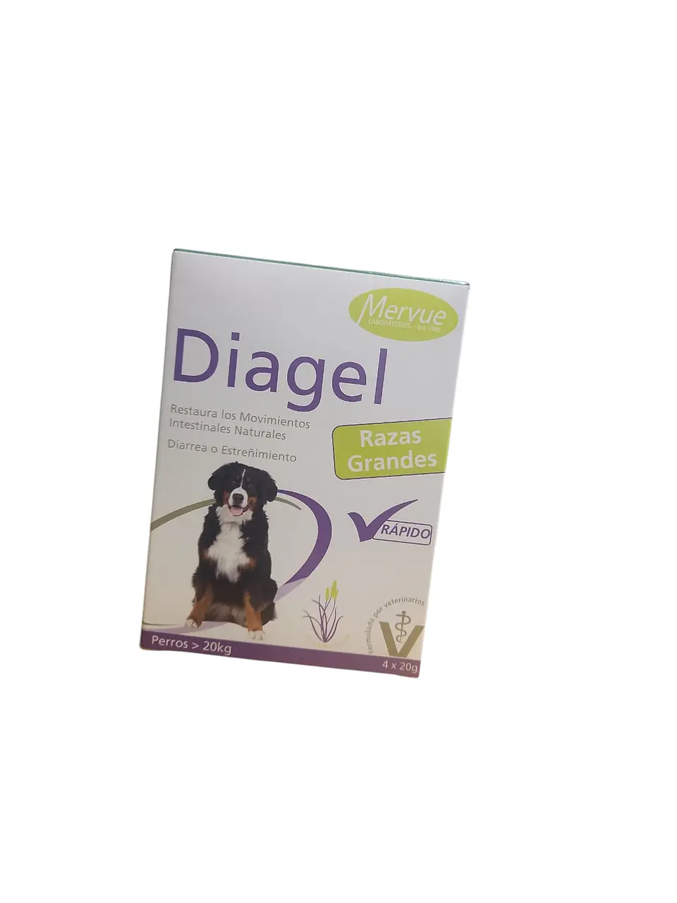 Diagel para Perros Grandes  1