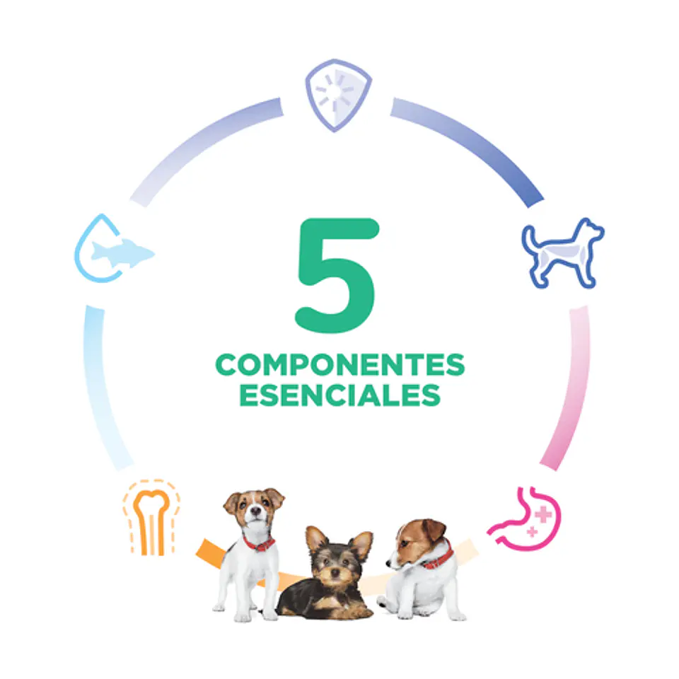 Hills Puppy Small & Mini 2kg  5