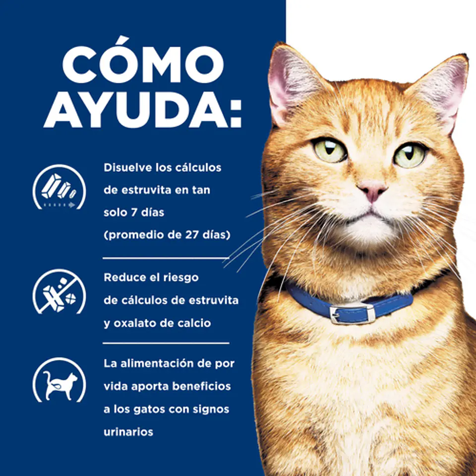 Lata Hills c/d Urinary Care con Pollo 156g 3