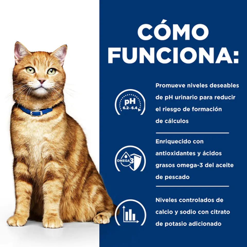 Lata Hills c/d Urinary Care con Pollo 156g 4
