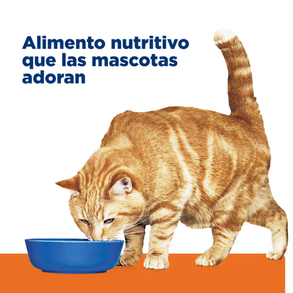 Lata Hills c/d Urinary Care con Pollo 156g 5