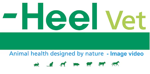 Zeel Vet 100 comprimidos