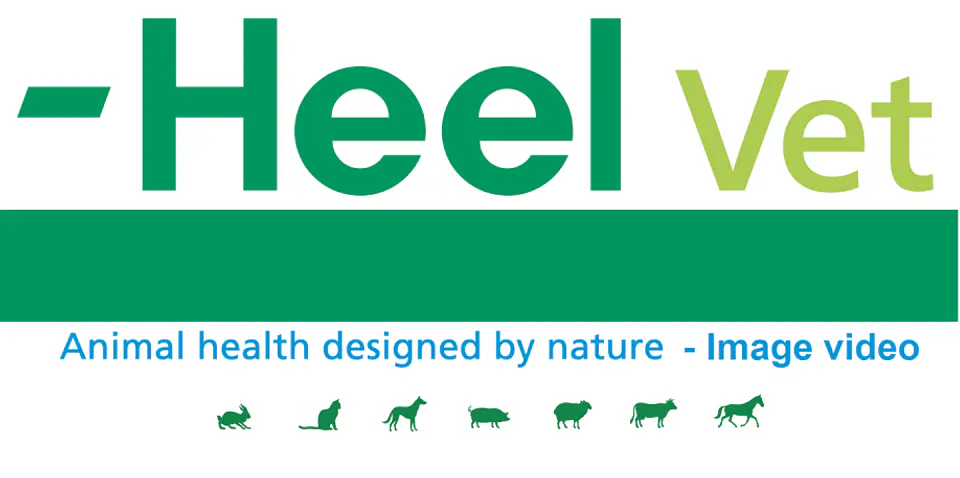 Zeel Vet 100 comprimidos 2