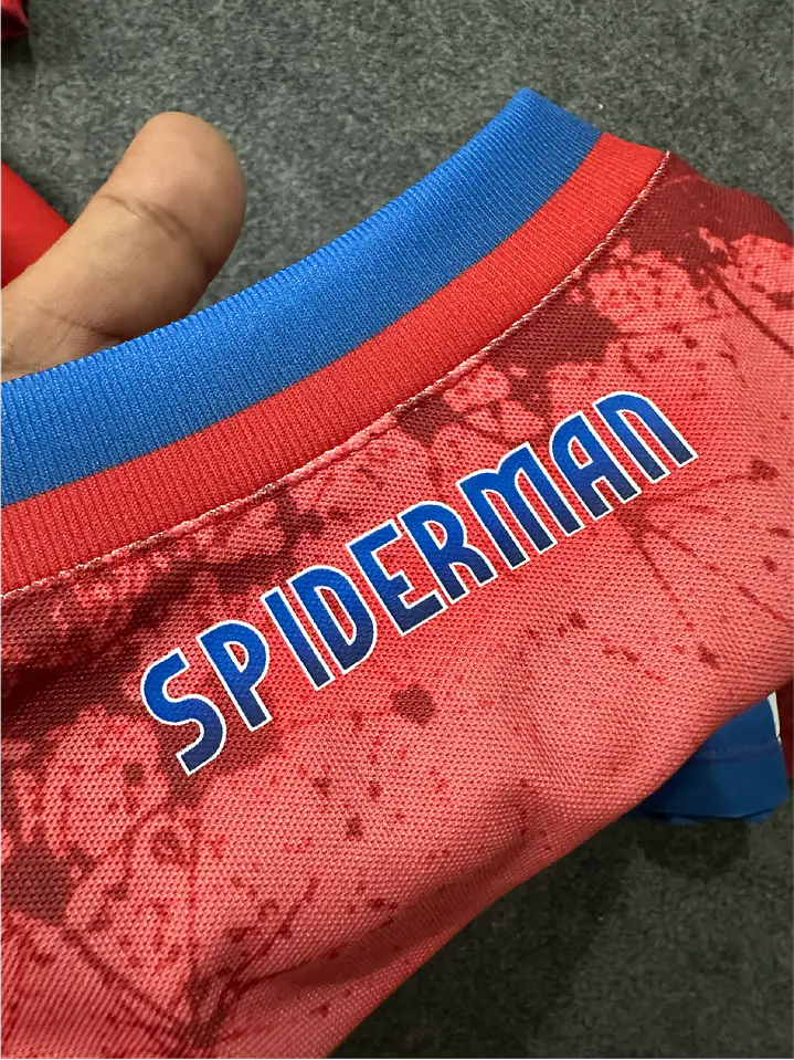Camiseta Araña 10 5