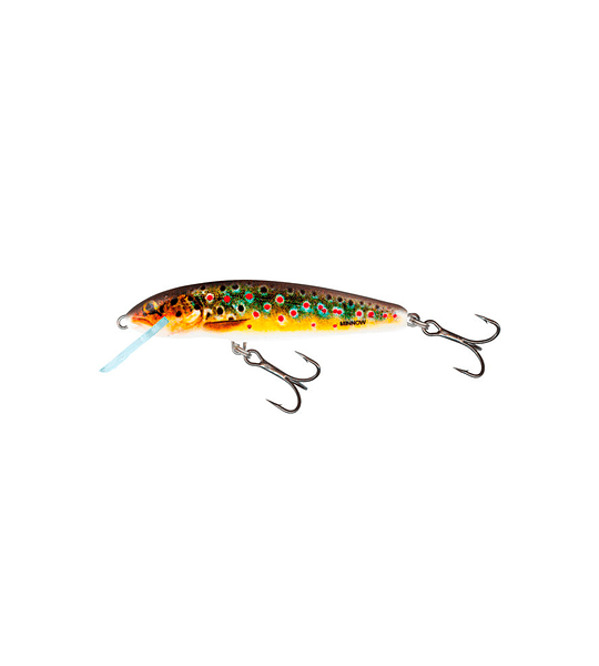 SEÑUELO SALMO MINNOW FLOATING 