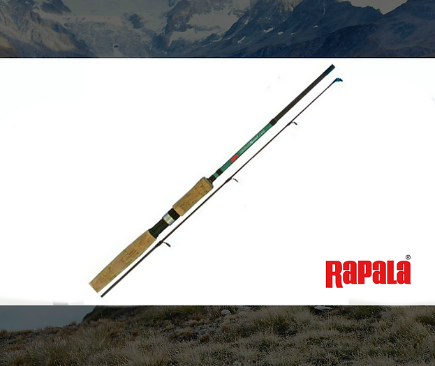 CAÑA RAPALA GOLD SPECIAL