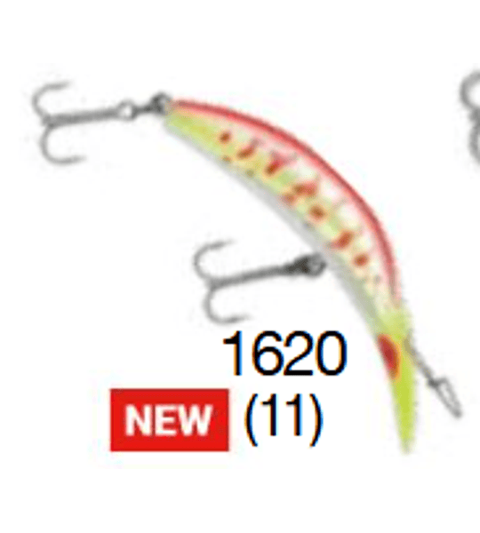 CAIMAN LUHR-JENSEN K13