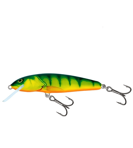 SEÑUELO SALMO MINNOW SINKING