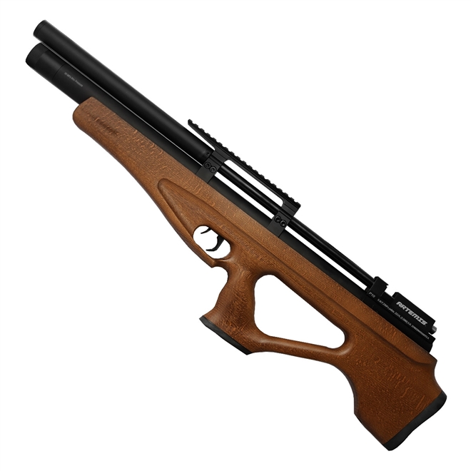 Artemis P10 5.5