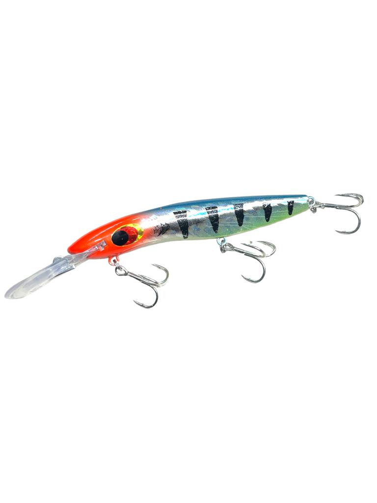Aleurre 164F  modelo F1