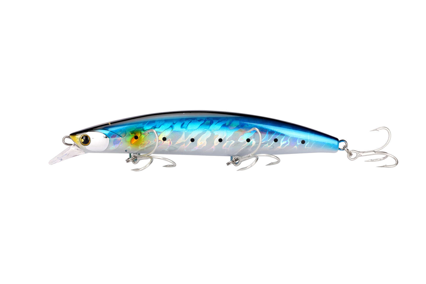 DARK SARDINE FM-018