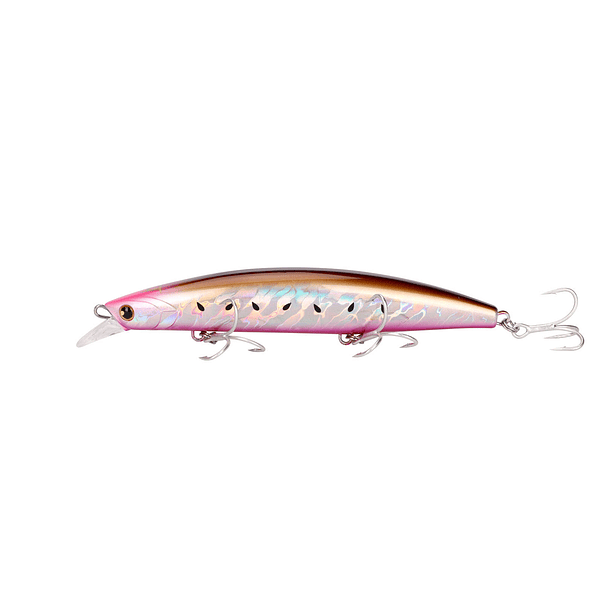 SARDINE RED BELLY FM-013