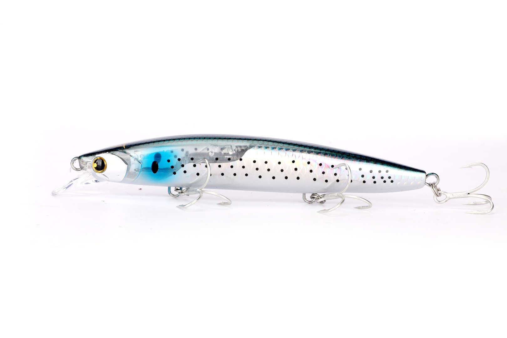 SUGOI FLASHER 135-S / FS- 61