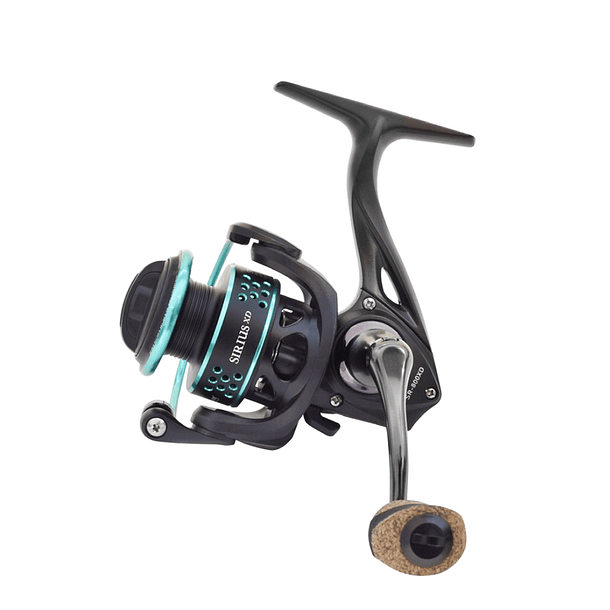 Pioner Sirius XD 1000