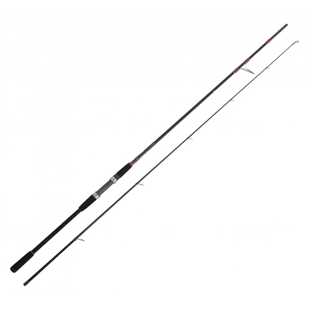 Cinnetic Explorer Sea Bass Evolution 240M 15-45g