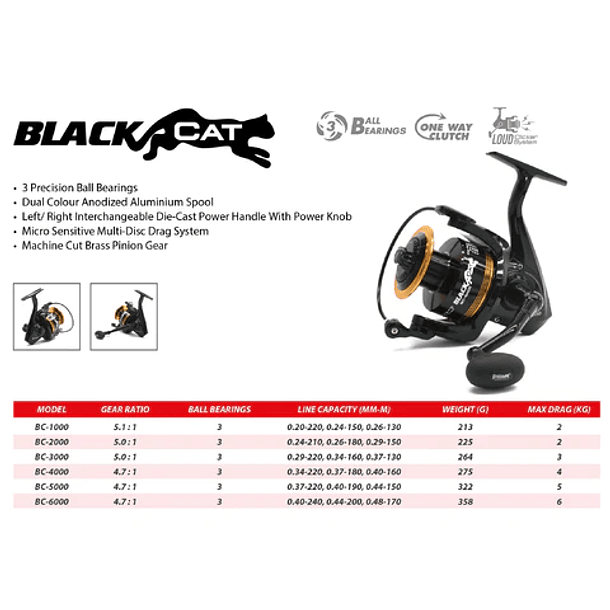Pioneer Black Cat BC-3000 2
