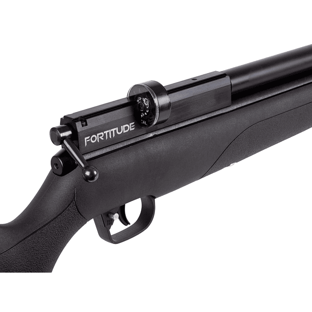 Rifle Benjamin FORTITUDE G2  Pcp 5.5mm 3