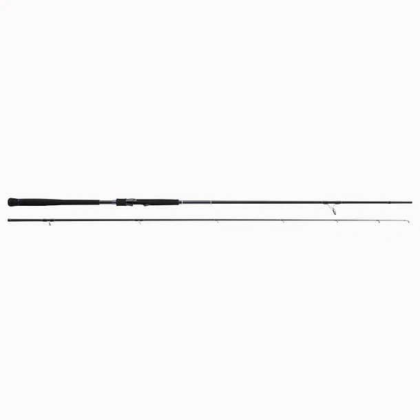 Majorcraft Crosride 3G XR3-1002M/LSJ  3.05mt. 15-50gr. 2