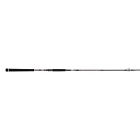 Cinnetic Crafty TRANSLIGHT Sea Bass 300MH  20-80gr.  9511 2