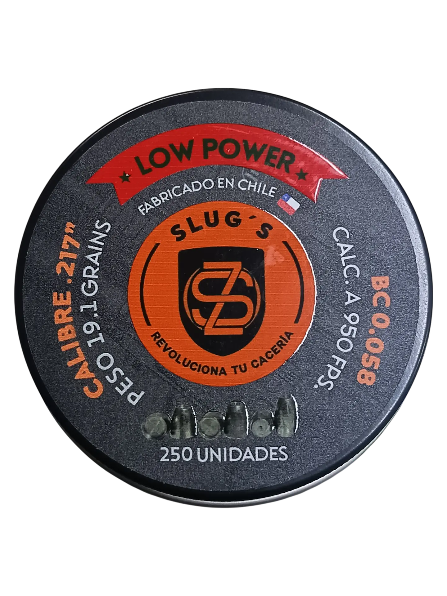 Slug ZS  19,1 Gr 250 Un Gen 3. 1
