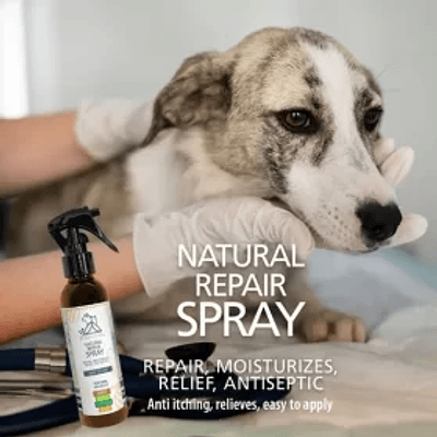 EcoAustralis Spray Reparador Natural con Miel (135 mL)