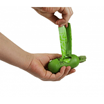 Bolsas Heces Perro | BioBags | Dispensador con Correa