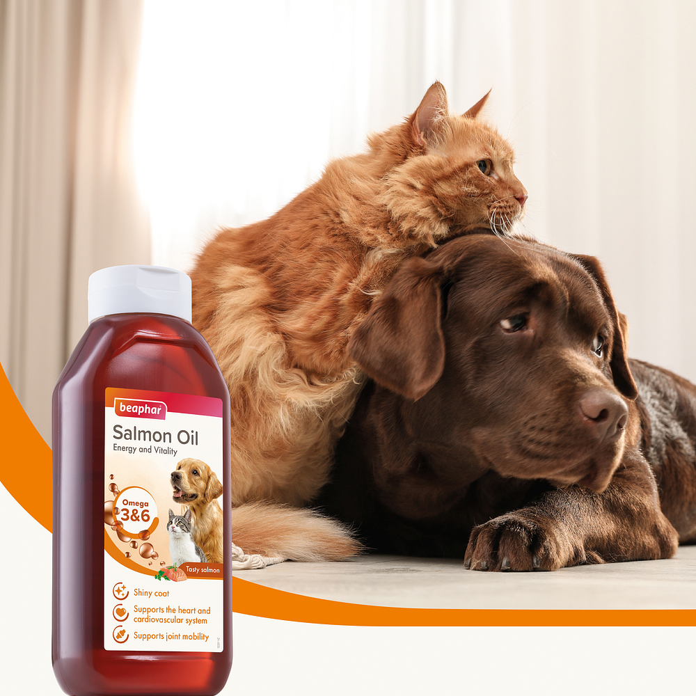 Aceite de salmón Beaphar para perros y gatos 430 Ml