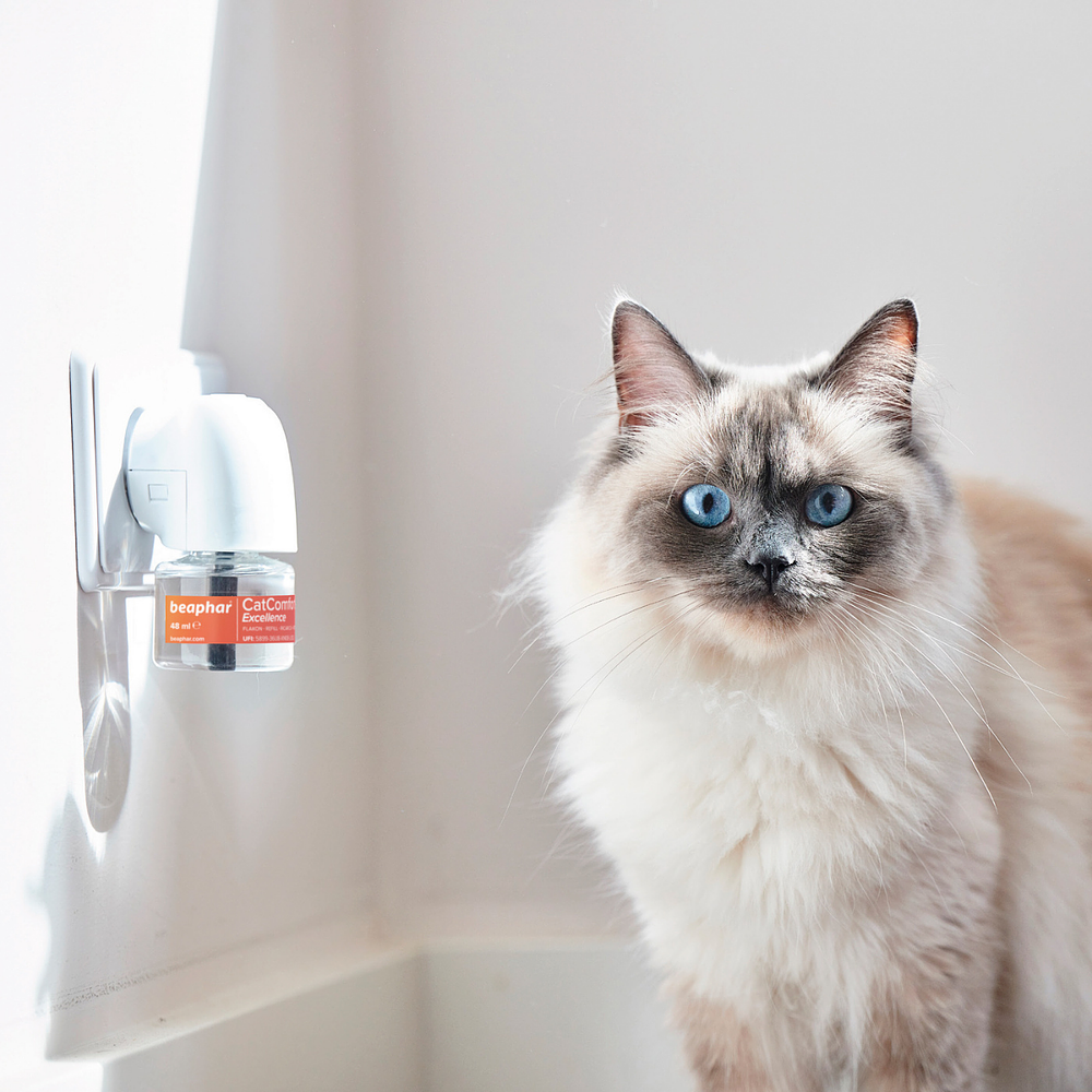 Recambio de difusor calmante Beaphar CatComfort® Excellence