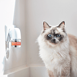 Recambio de difusor calmante Beaphar CatComfort® Excellence