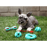 Juguete para perro anillo de goma resistente BRNX