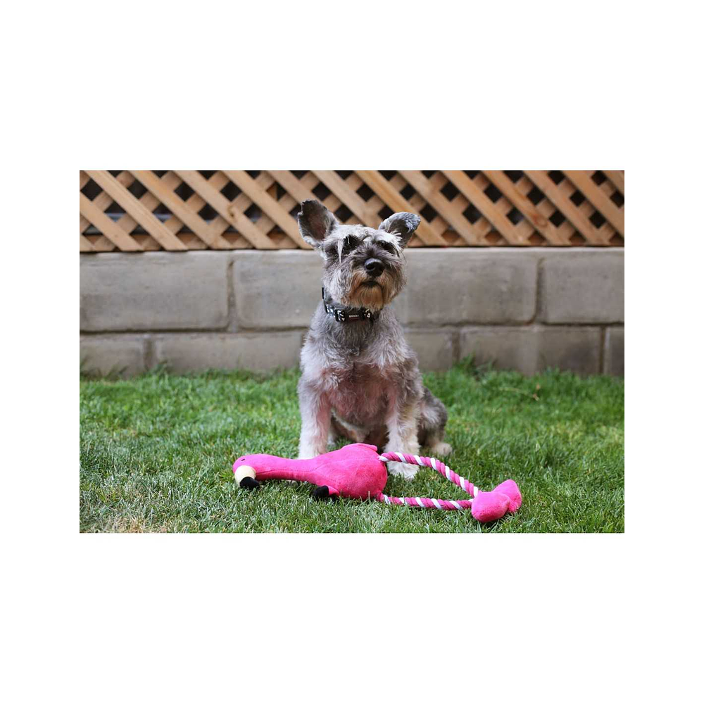 Juguete para perro peluche flamenco con cuerda BRNX