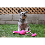 Juguete para perro peluche flamenco con cuerda BRNX