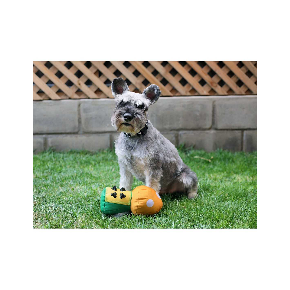 Juguete Hongo Textil Resistente BRNX