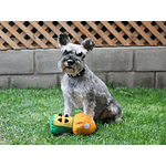 Juguete Hongo Textil Resistente BRNX