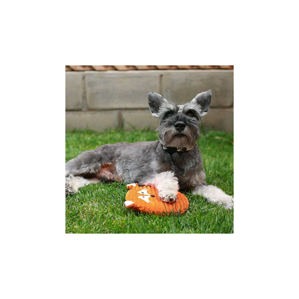 BRNX Juguete Zorro Naranjo con Sonido