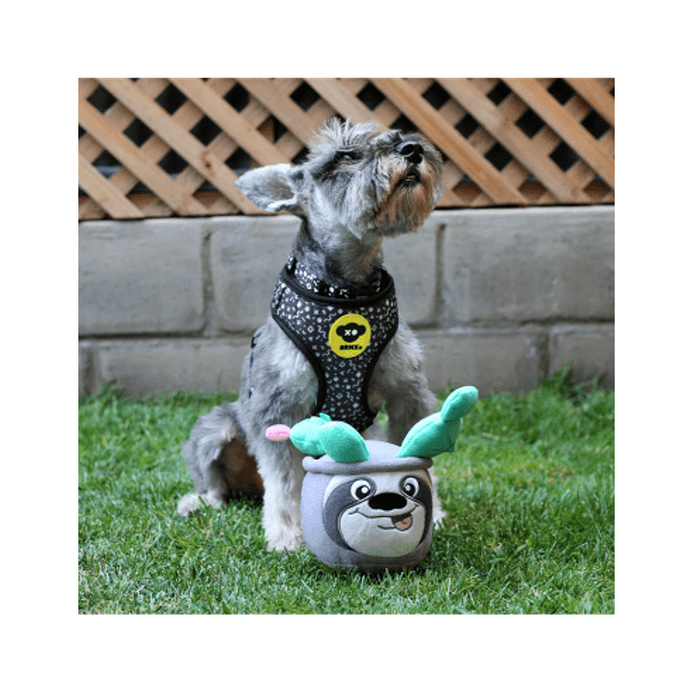 BRNX Juguete Perezoso Cognitivo