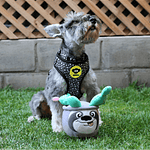 BRNX Juguete Perezoso Cognitivo